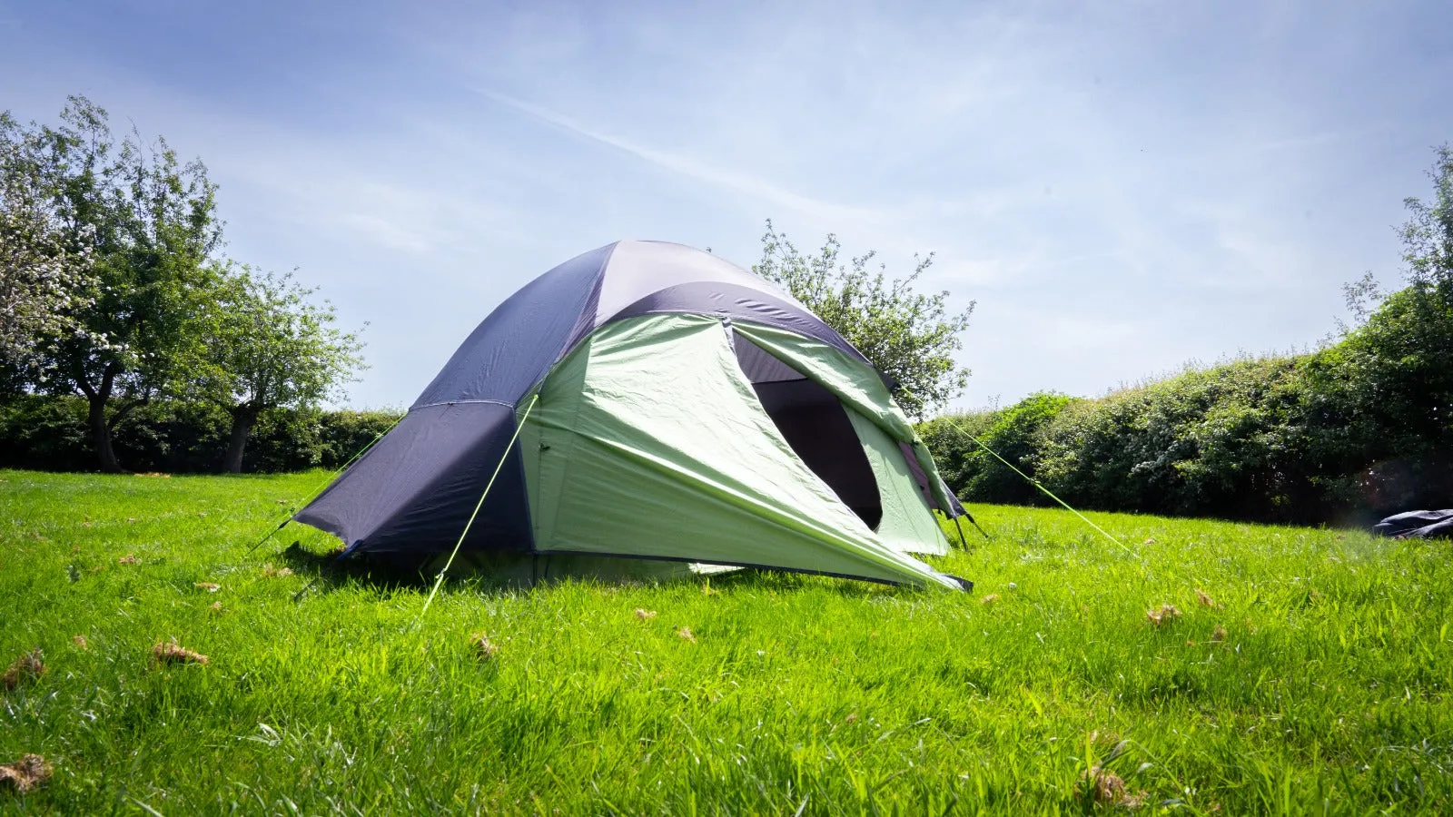 2 Person XL Tent Hire - Vegan Camp Out 2025