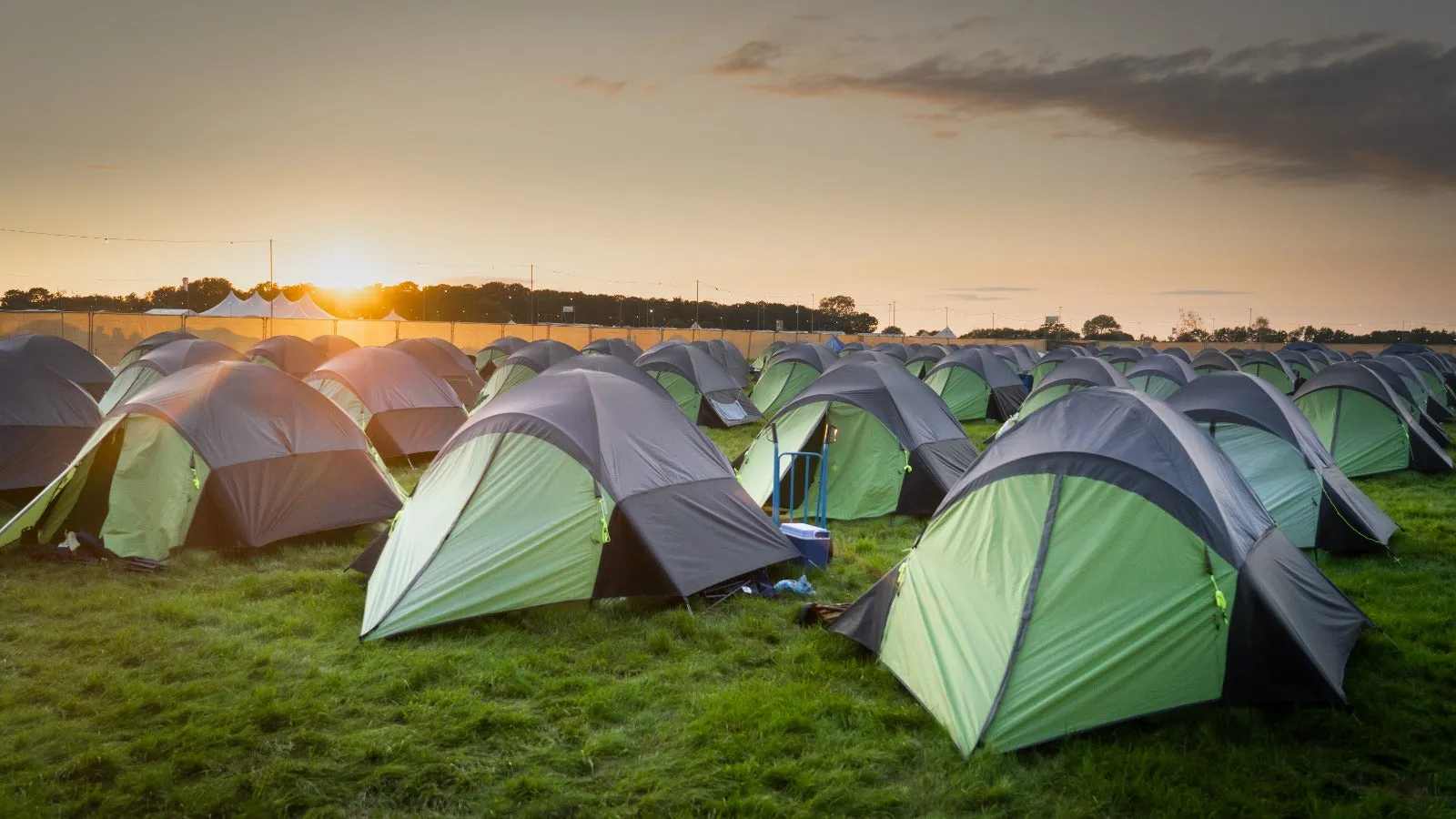 2 Person XL Tent Hire - Vegan Camp Out 2025