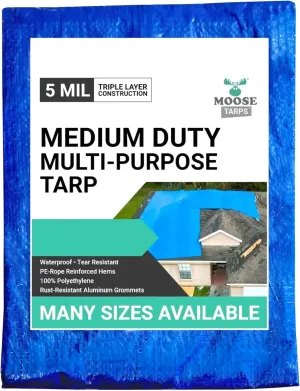 40' x 60' Waterproof Tarp | Medium Duty Reversible Blue/Silver | Multipurpose Indoor/Outdoor Use: Tents, Wood Cover, Furniture, Car, Boat, Pool, & More | Tear Resistant