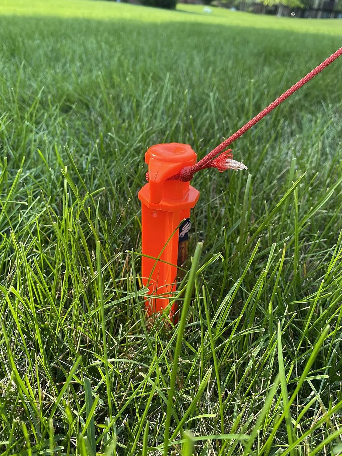 (6) 16" Tent Pegs & (1) 5/32" x 50ft Paracord Rope. Garden Stakes Durable and Strong Plastic Tent Stakes for Beach Mat, Camping, Hiking, Garden, Landscape Stakes, Orange Stakes UV Resistant