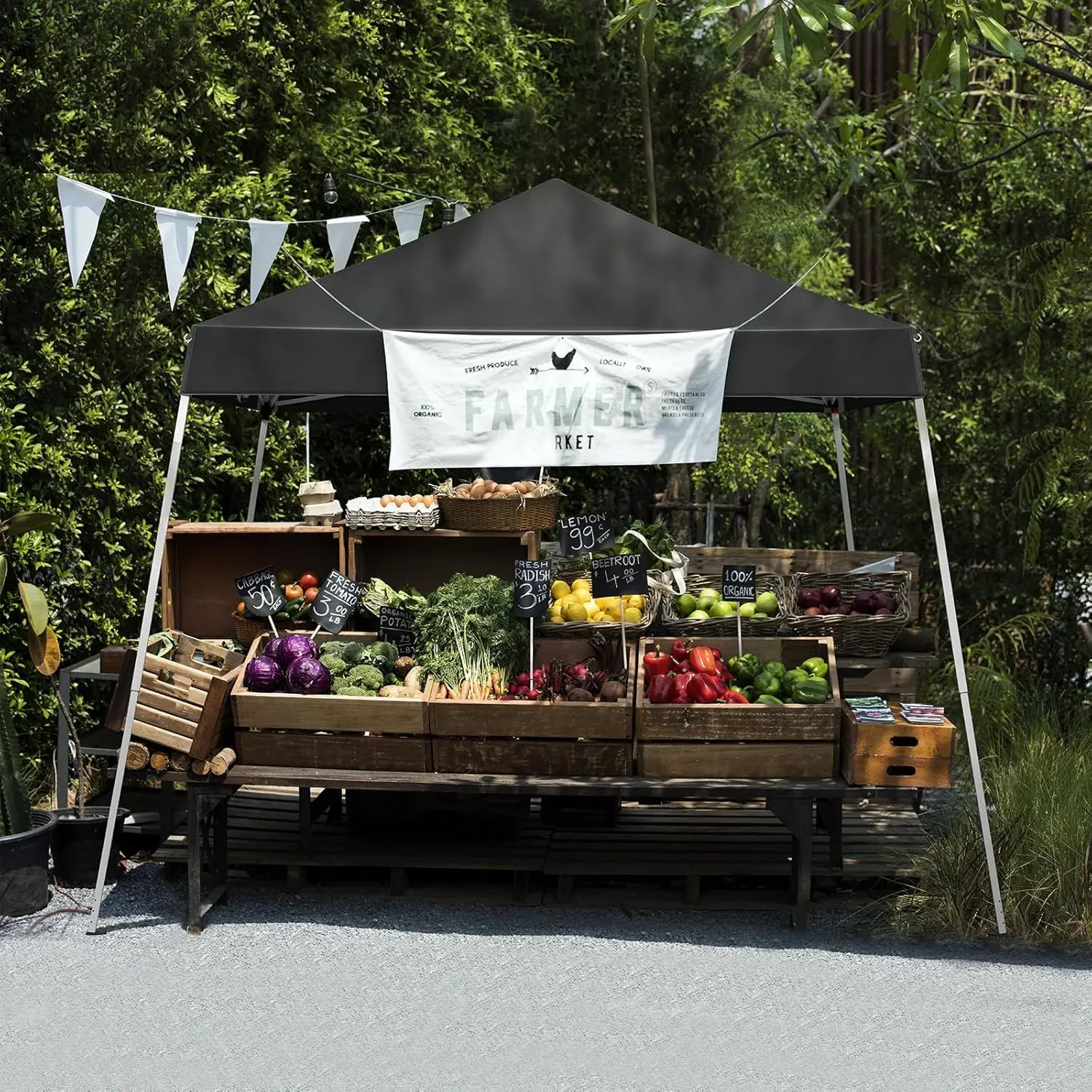 8x8ft Pop Up Canopy Tent Outdoor Foldable Portable Gazebo with Slant Legs and Carry Bag Easy Setup Shelter for Camping Patio Backyard Events (Dark Gray, 8x8ft)