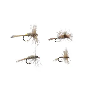 Adams Assortment