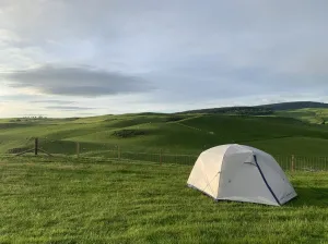 Alps Mountaineering Acropolis 4 (4 Person Tent)