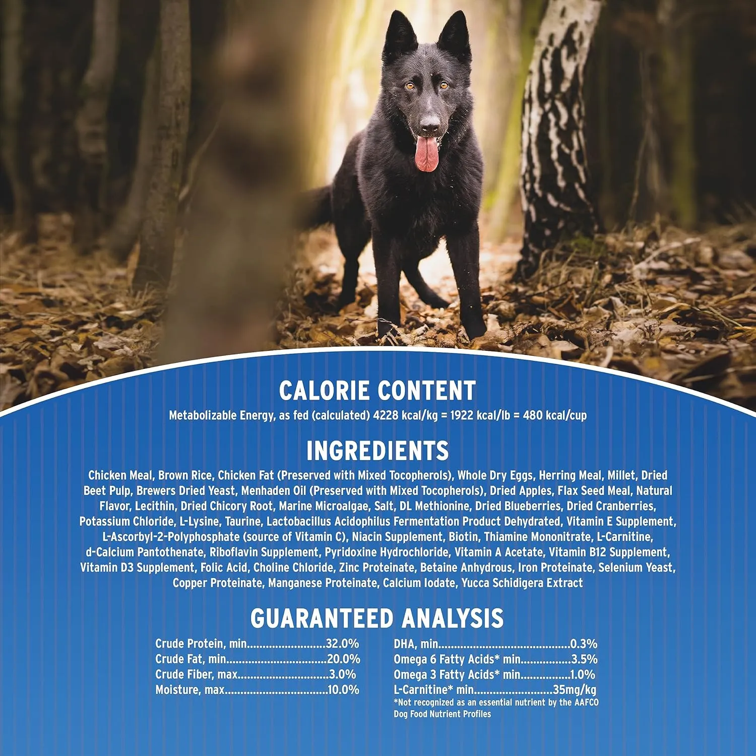 Annamaet Original Ultra Formula Dry Dog Food, 32% Protein (Chicken & Brown Rice), 40-lb bag