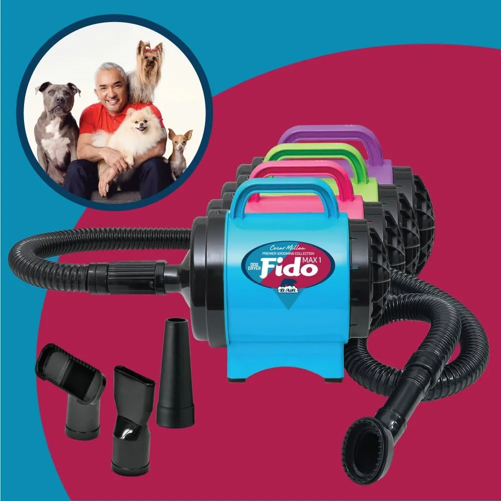 B-Air BA-FM-1-T Fido Max 1 Dog Dryer Premier Grooming Collection with 6-Foot Hose and 4 Grooming Nozzles, Turquoise