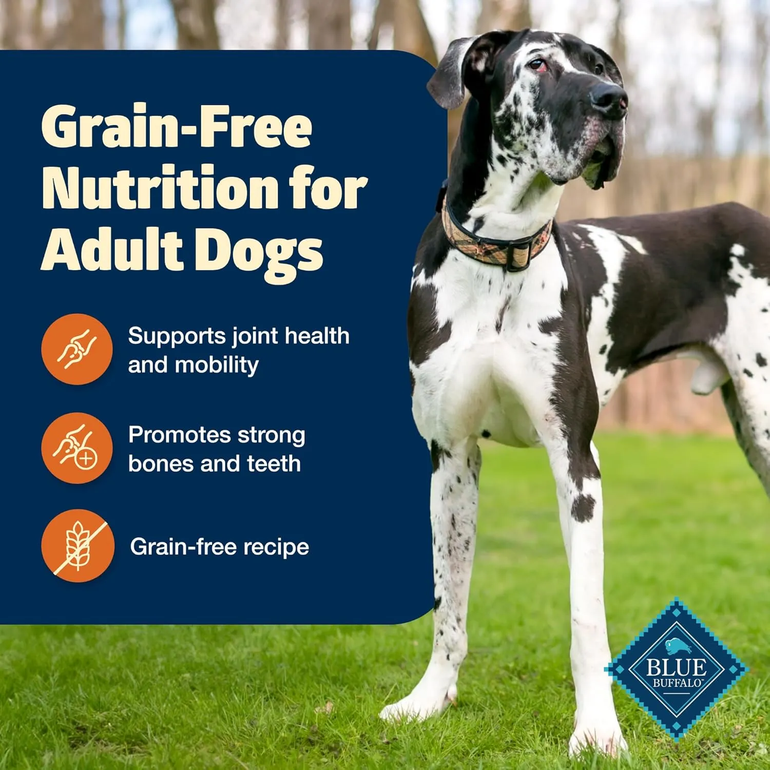Blue Buffalo Freedom Grain-Free Large Breed Dry Dog Food, Supports Joint Health & Mobility, Made in the USA With Natural Ingredients, Chicken & Potatoes, 24-lb Bag