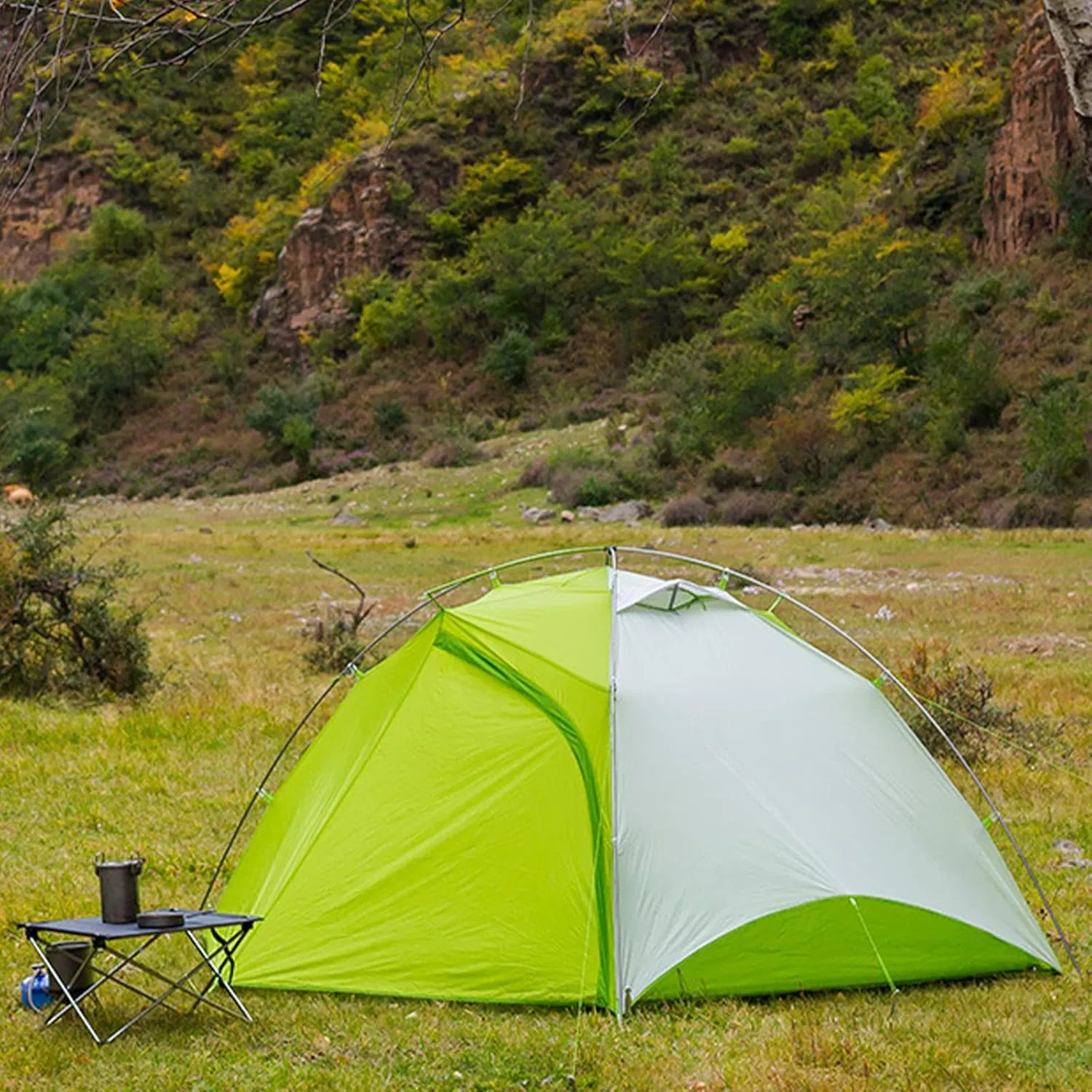 Camping Ultralight Tent 2 Person 3 Season Double Layer Waterproof Aluminum Silicon Coated Tourist Tent Comfort for Family Outdoor Hiking