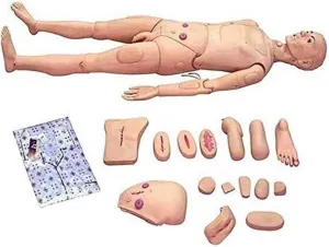 CPR Training Manikin - Life Size 170cm Interchangeable Male and Female for Medical Nursing Simulation and Education