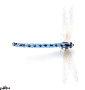 Foam Dry Damsel