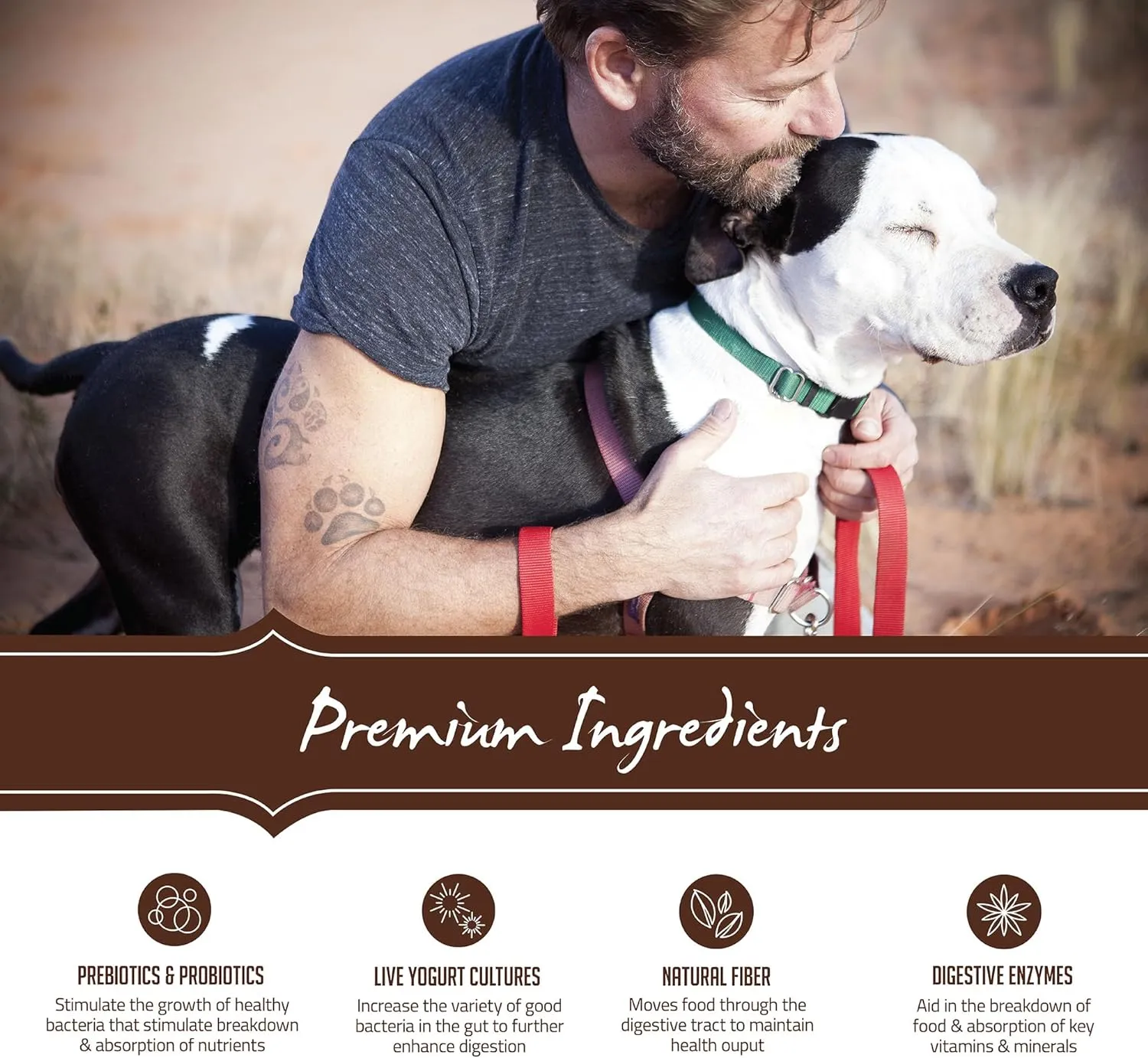 Holistic Select Natural Dry Dog Food, Large & Giant Breed Adult Recipe, 30-Pound Bag
