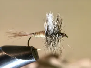 Hyena Mayfly 🐕 [Pack of 6]