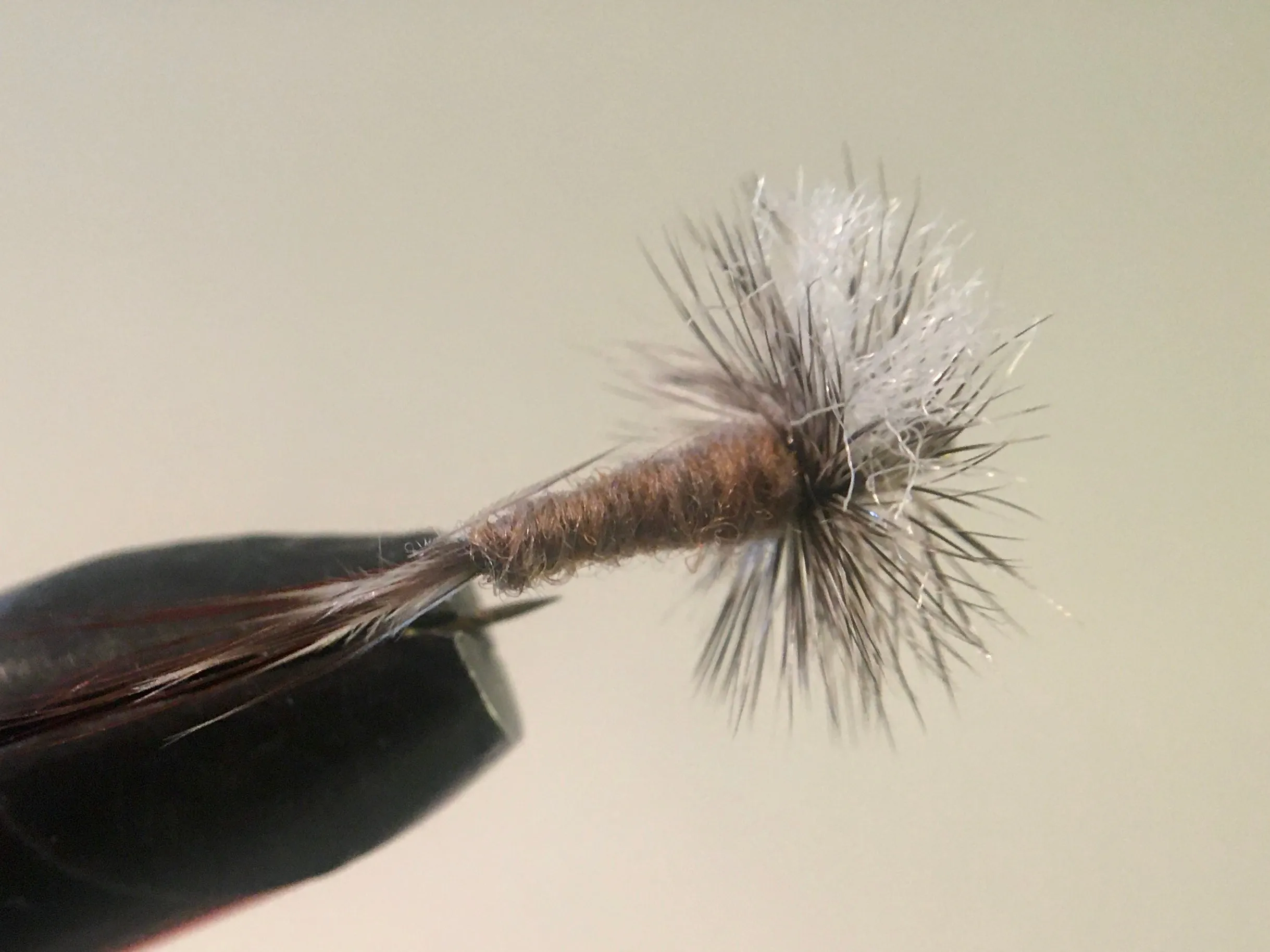 Hyena Mayfly 🐕 [Pack of 6]