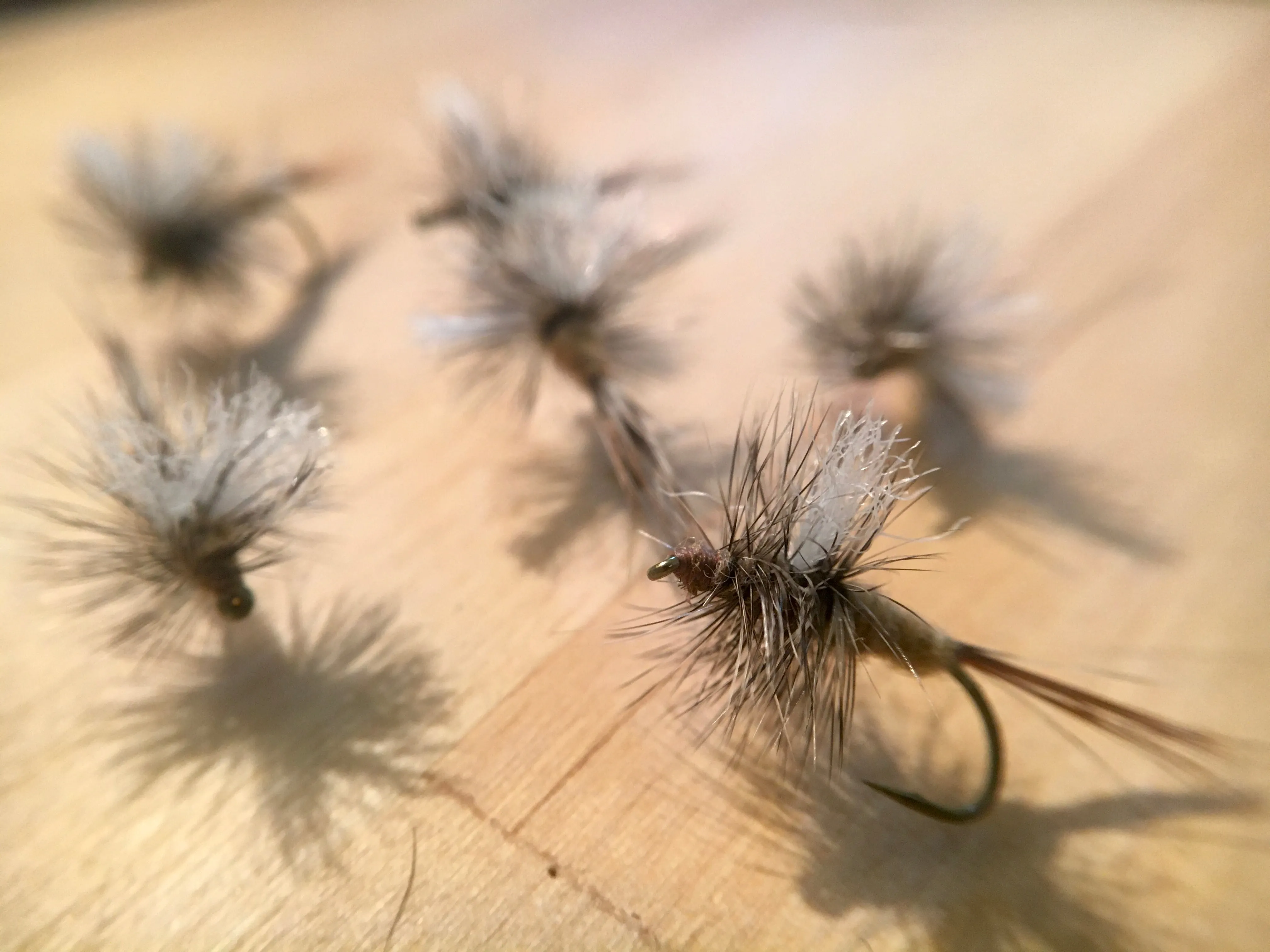 Hyena Mayfly 🐕 [Pack of 6]