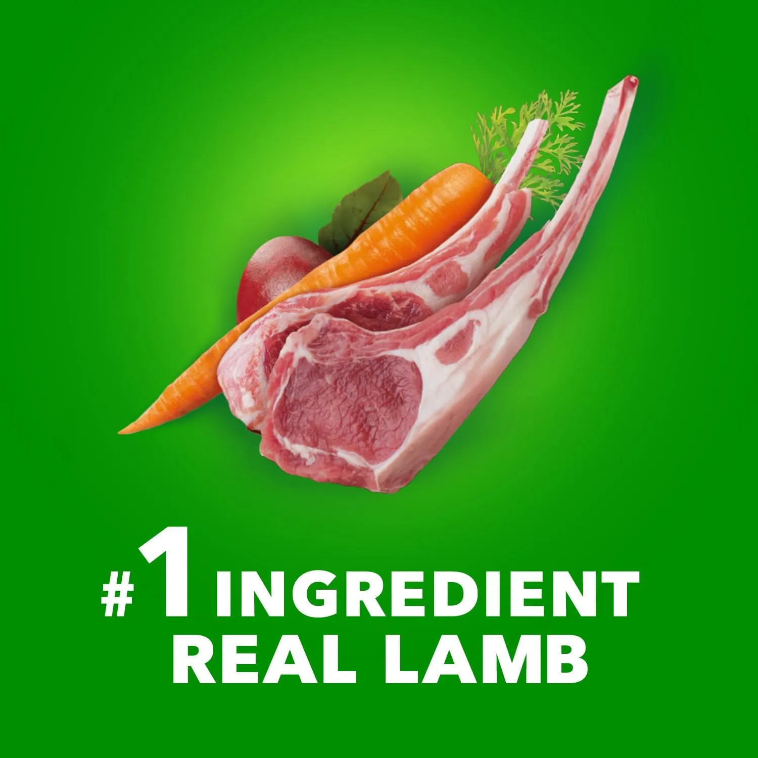 IAMS Proactive Health Large Breed Adult Dry Dog Food Lamb & Rice Recipe, 30 lb. Bag