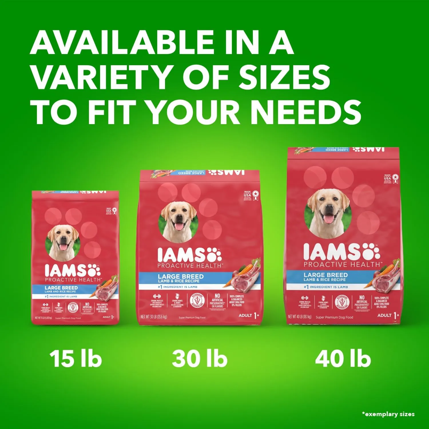 IAMS Proactive Health Large Breed Adult Dry Dog Food Lamb & Rice Recipe, 30 lb. Bag