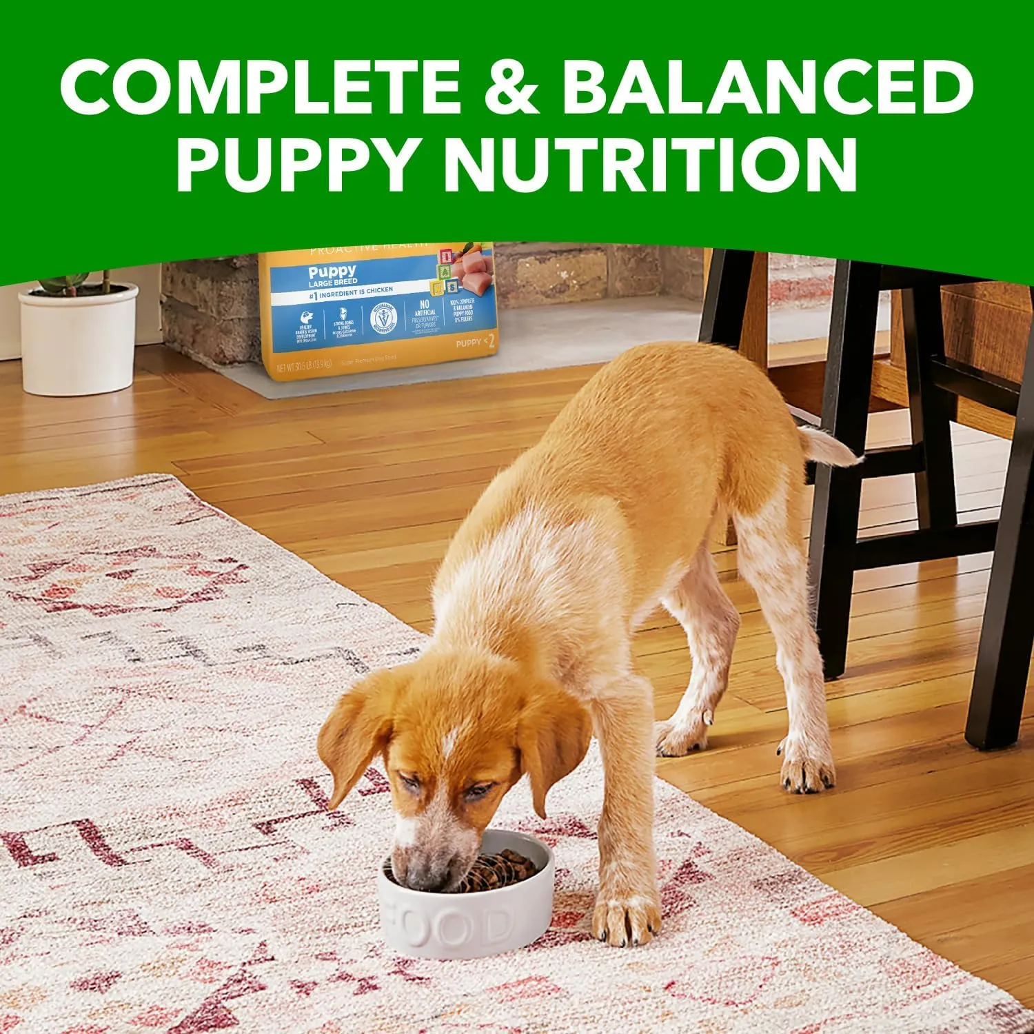 IAMS Smart Puppy Large Breed Dog Food Dry with Real Chicken, 15 lb. Bag