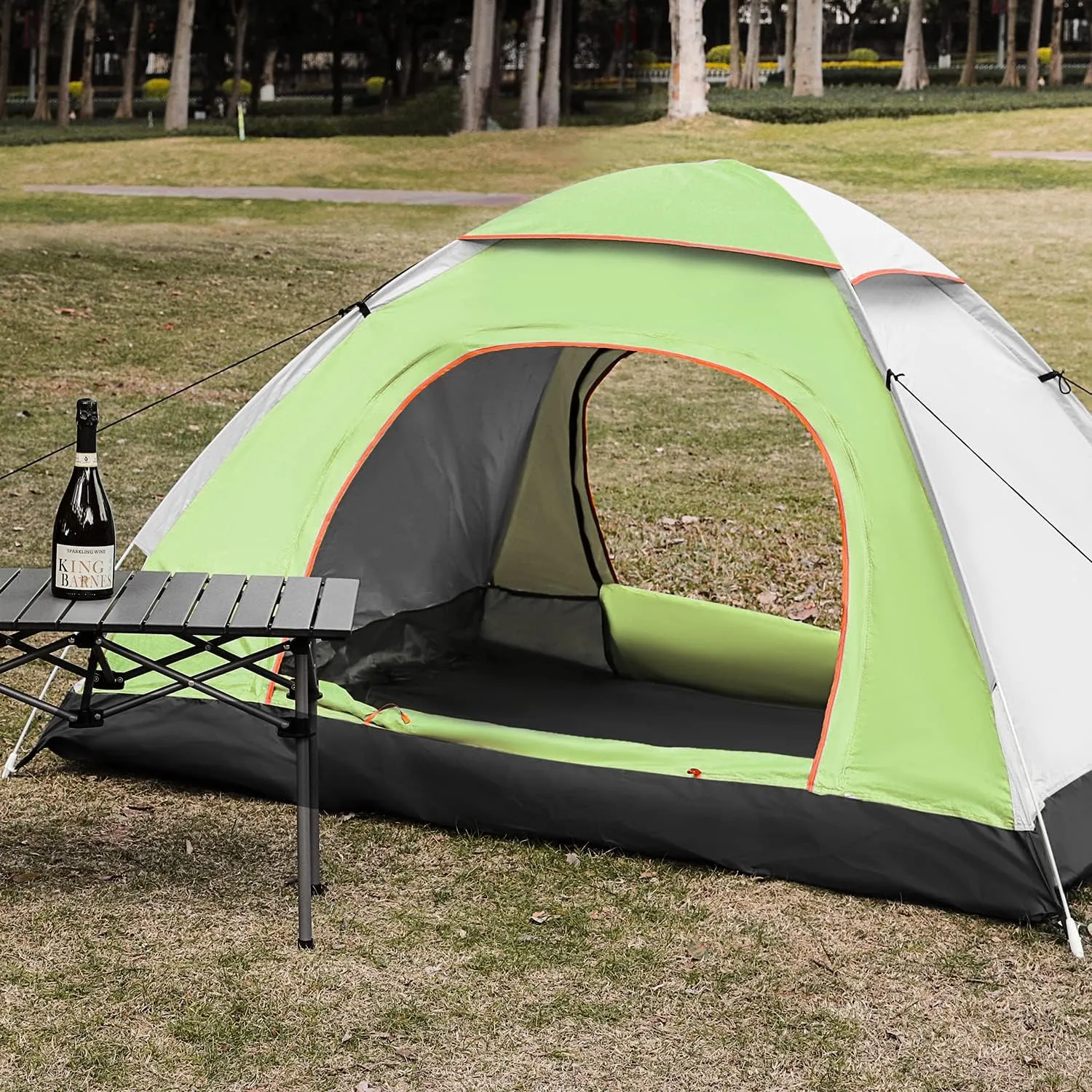 Magshion Camping Tent for 1 or 2 Person Weatherproof Spacious Lightweight Portable Backpacking Blue Dome Tent with Carry Bag for Backpacking Traveling, Easy Set Up