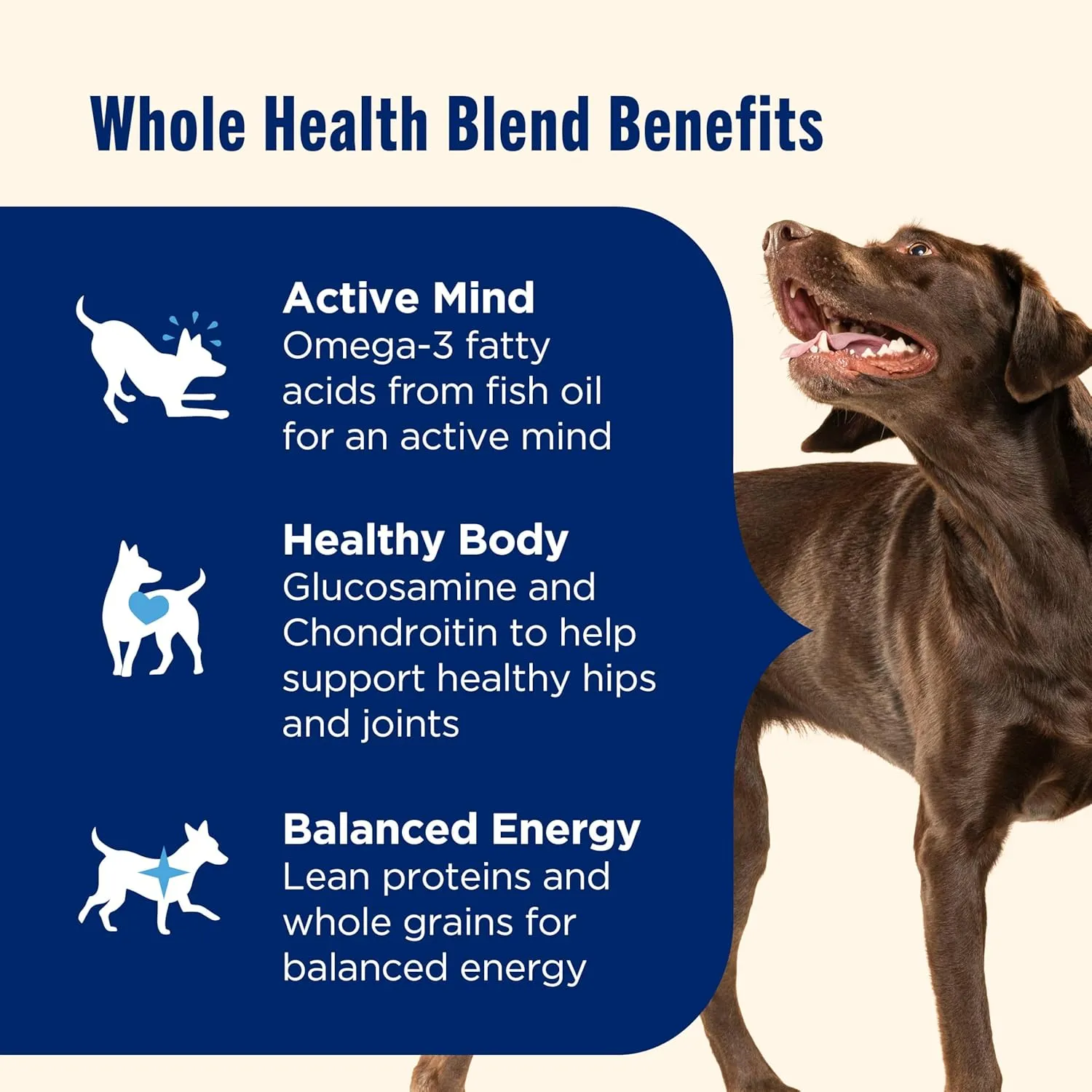 Nutrish Large Breed Real Chicken, Pea, Brown Rice & Carrot Recipe Whole Health Blend Dry Dog Food, 40 lb. Bag (Rachael Ray)
