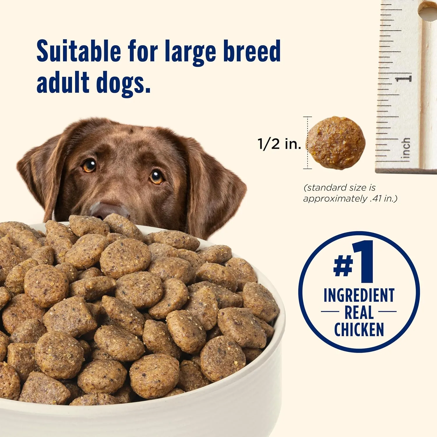 Nutrish Large Breed Real Chicken, Pea, Brown Rice & Carrot Recipe Whole Health Blend Dry Dog Food, 40 lb. Bag (Rachael Ray)