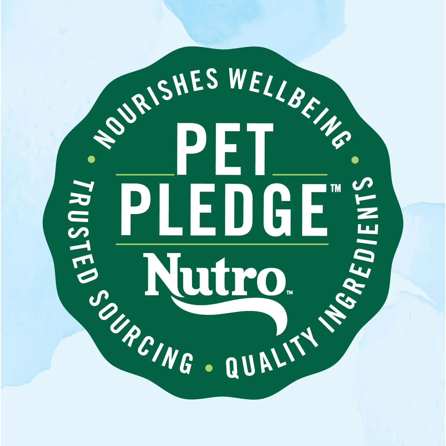 Nutro Limited Ingredient Diet Large Breed Adult Dry Dog Food, Lamb & Sweet Potato Recipe, 22 lbs.