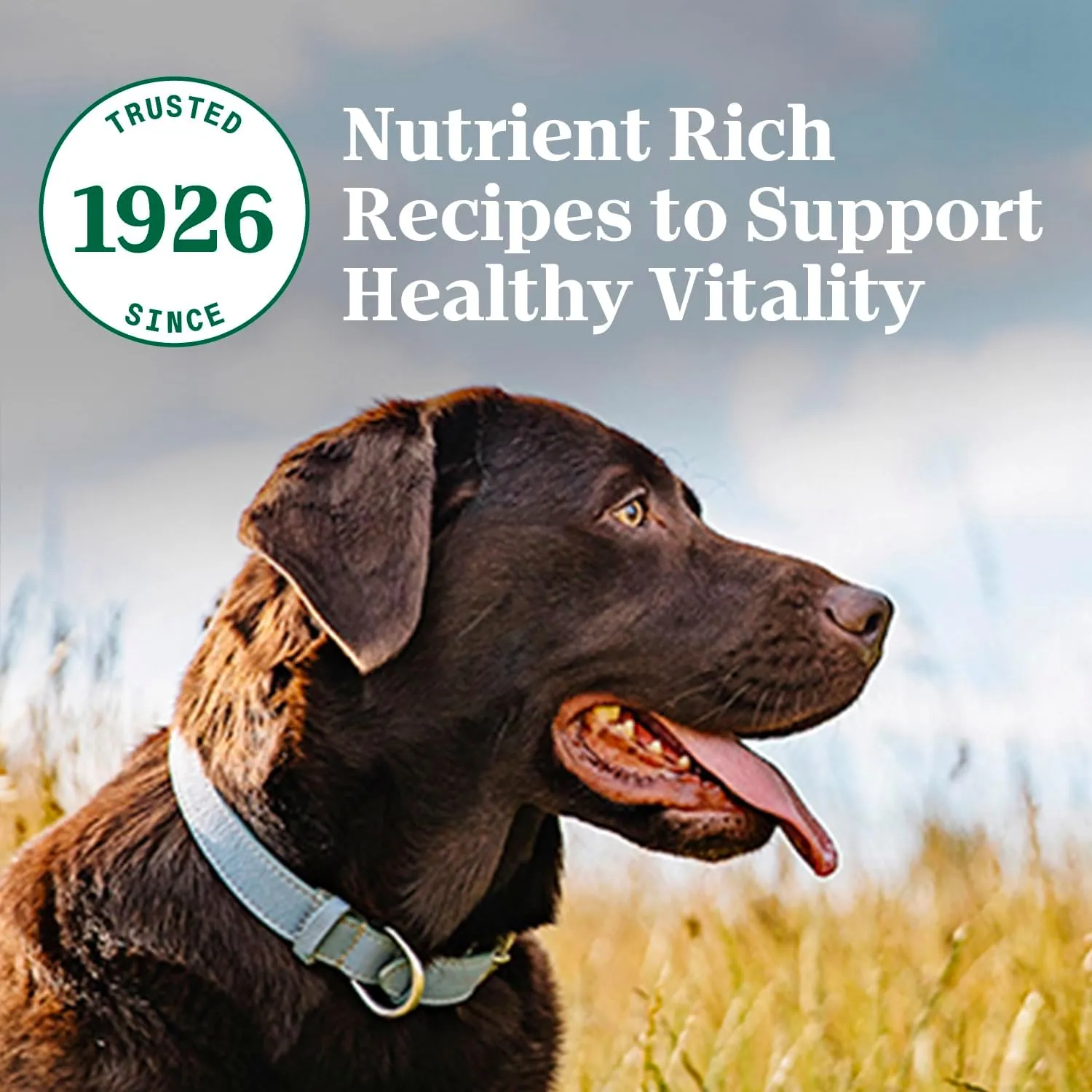 Nutro Natural Choice Adult Large Breed Dry Dog Food, Chicken and Brown Rice Recipe, 30 lbs.