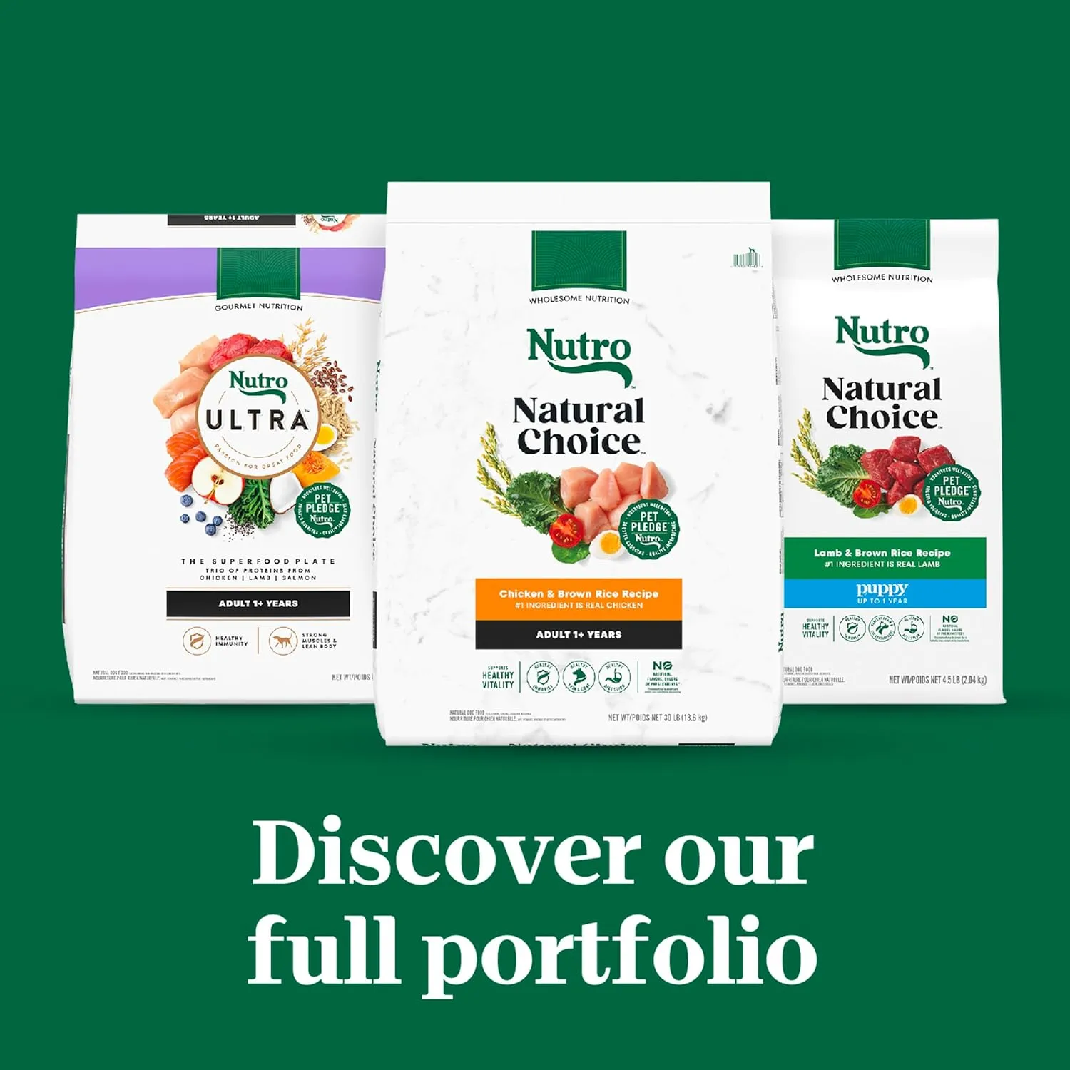 Nutro Natural Choice Large Breed Puppy Dry Dog Food, Chicken and Brown Rice Recipe, 13 lbs.