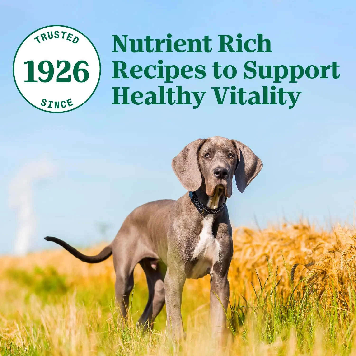 Nutro Natural Choice Large Breed Puppy Dry Dog Food, Lamb and Brown Rice Recipe, 30 lbs.
