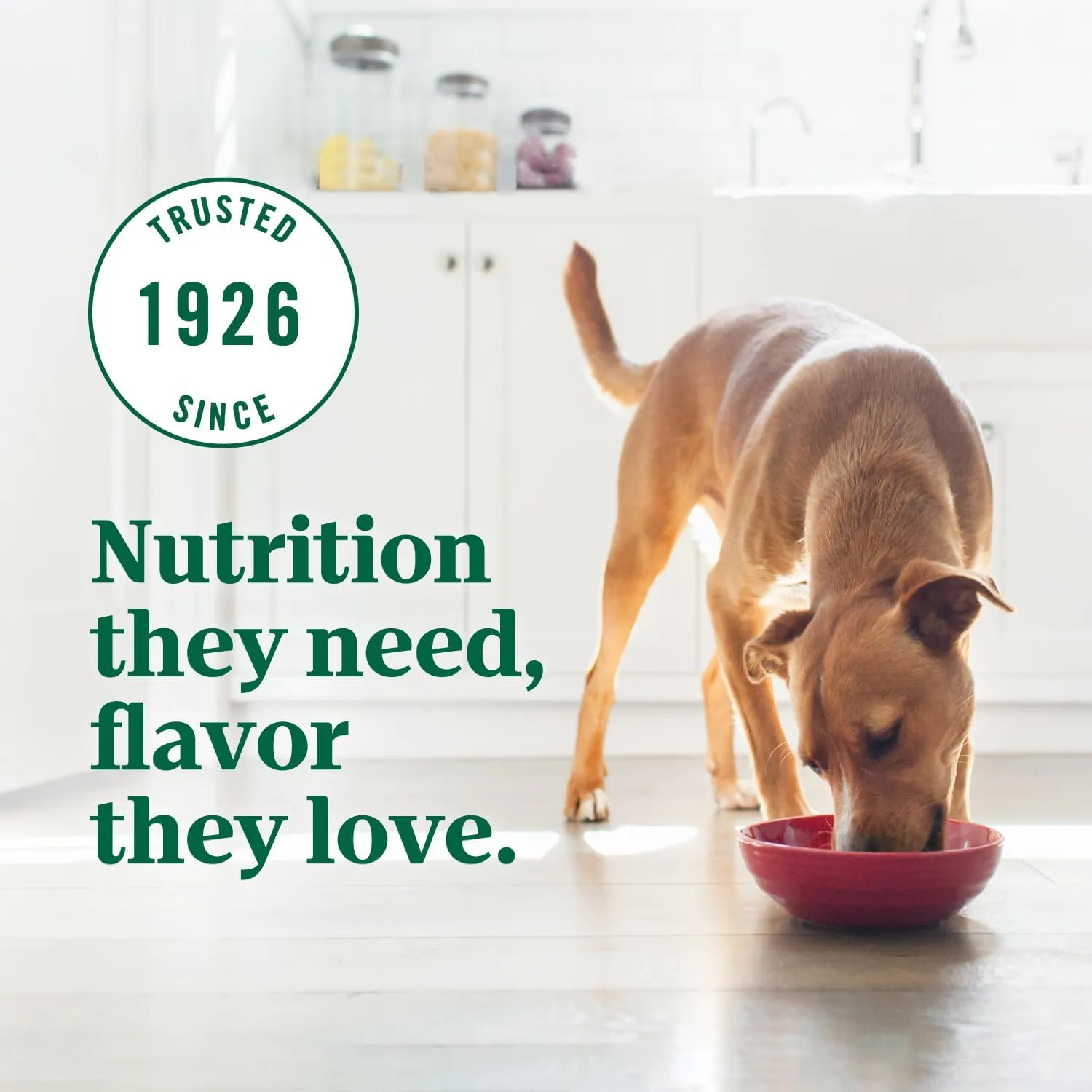 Nutro Ultra Adult Large Breed Dry Dog Food, Chicken, Lamb and Salmon Protein Trio, 24 lb. Bag