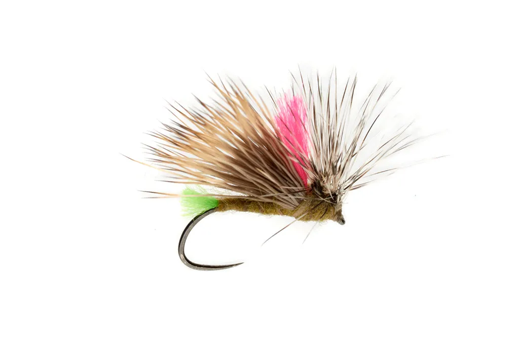 Olsen's Front End Loader Caddis - Tan