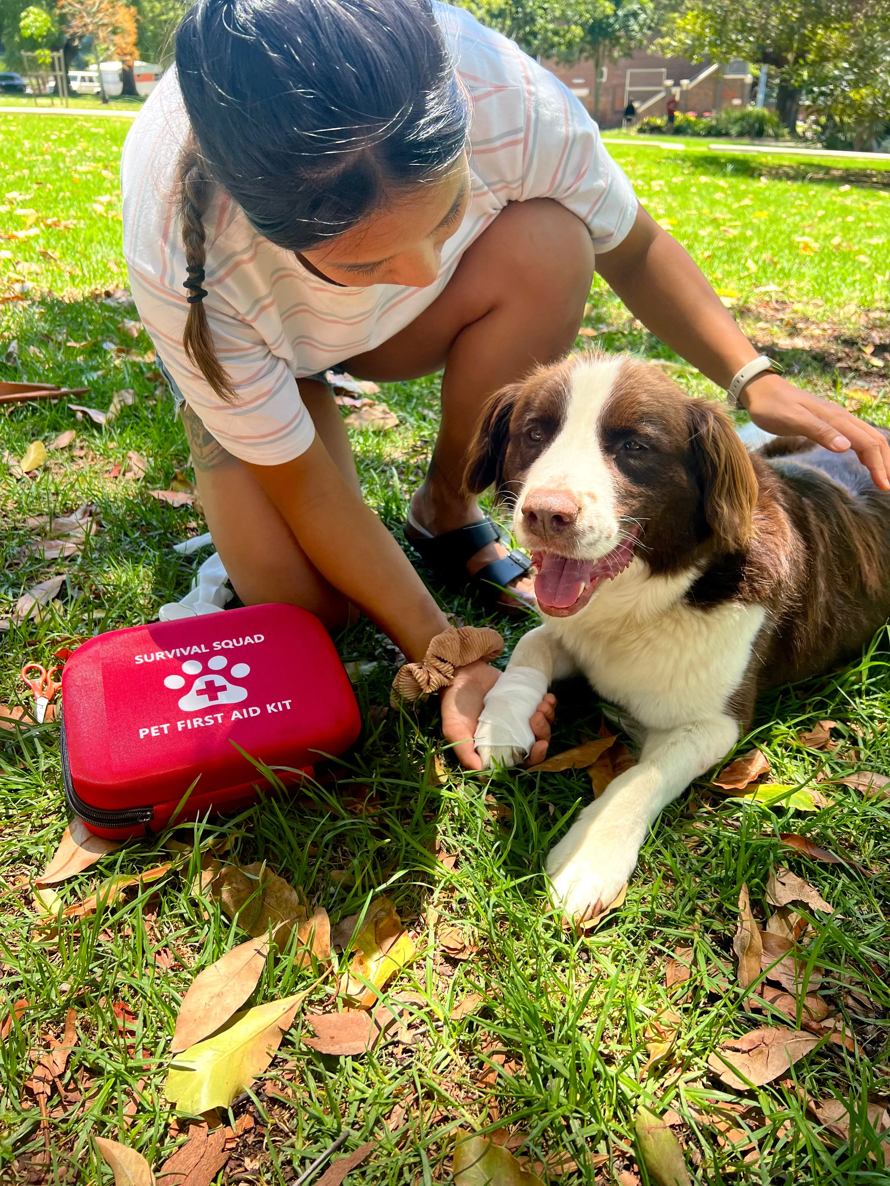Pet First Aid Kit for Dogs & Cats