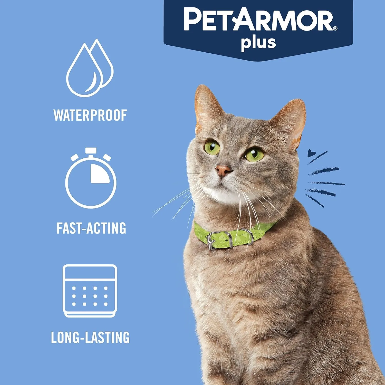 PetArmor Plus Flea and Tick Prevention for Cats, Cat Flea and Tick Treatment, 6 Dose, Waterproof Topical, Fast Acting, Cats Over 1.5 lbs