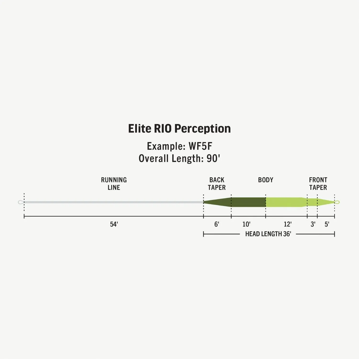 Rio Elite Perception Slick Cast Fly Line, Easy Casting All-Around Floating Trout Line, Low-Stretch & Ultra-Slick Performance, Green/Camo/Gray