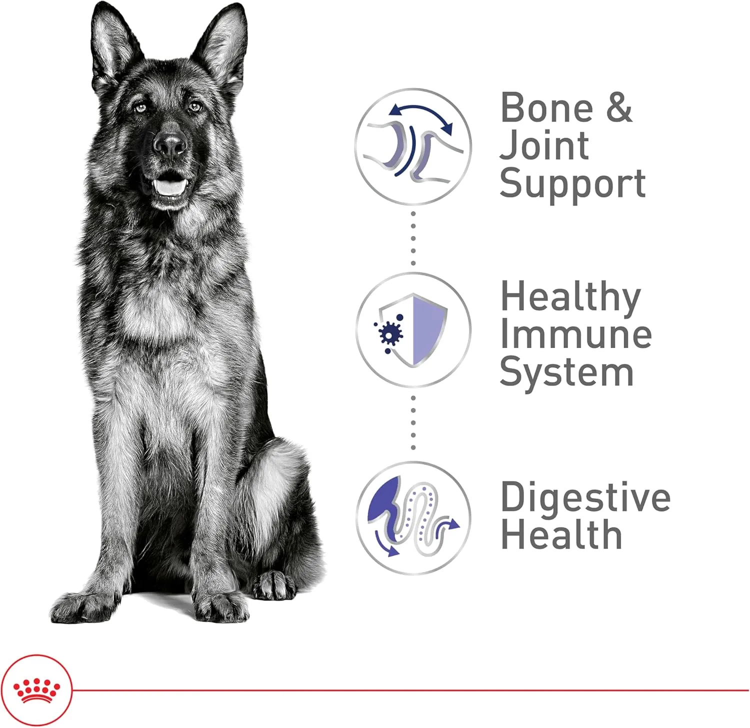 Royal Canin Large Breed Adult Dry Dog Food, 30 lb Bag
