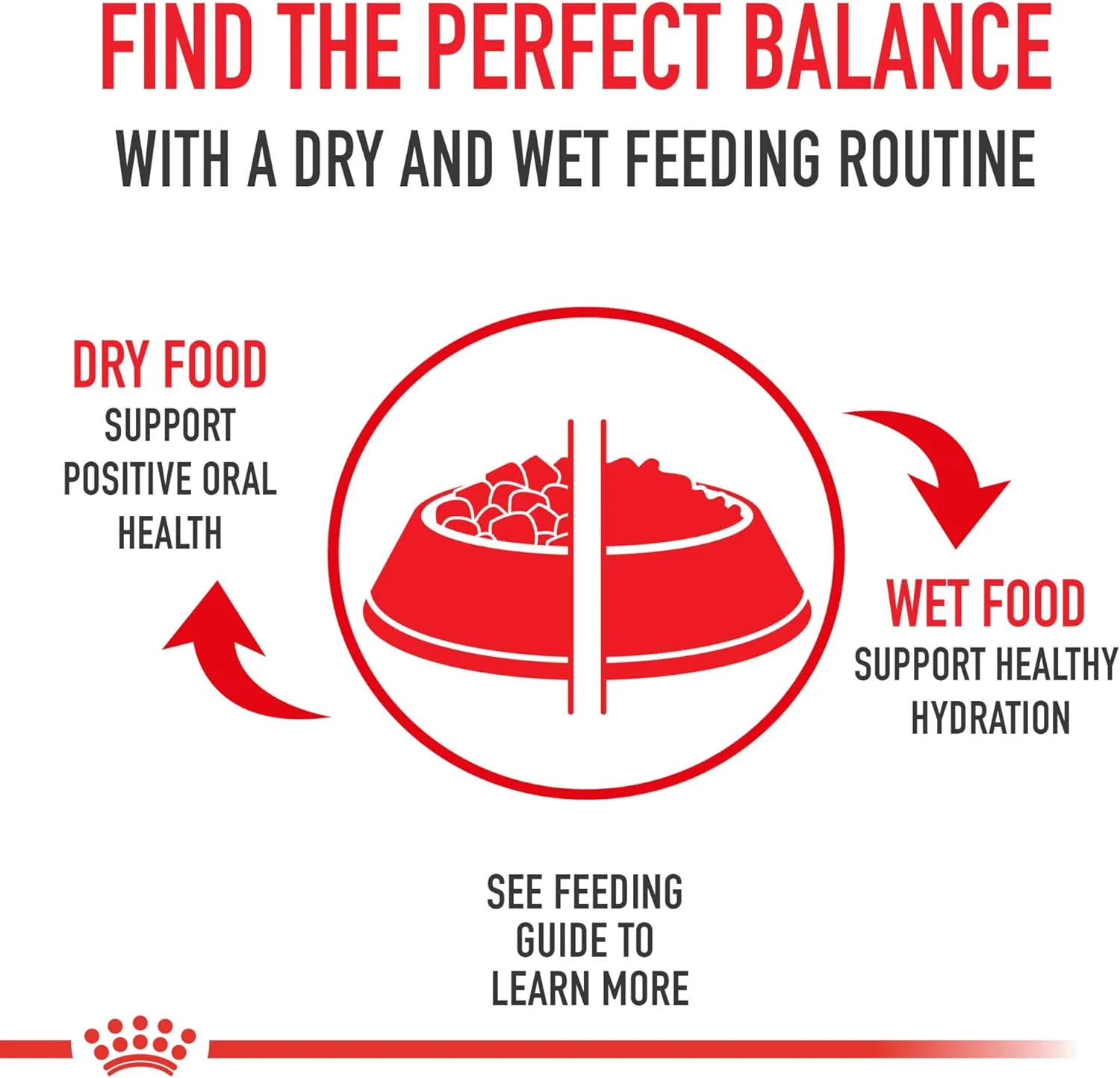Royal Canin Maine Coon Breed Adult Dry Cat Food, 6 lb bag