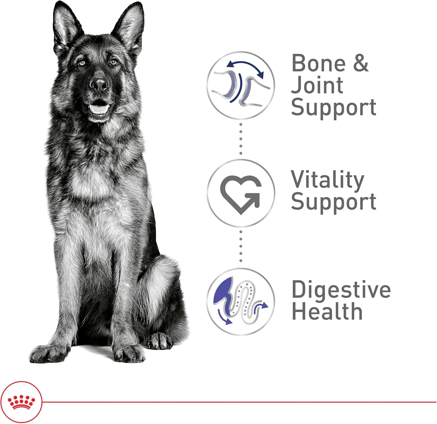 Royal Canin Size Health Nutrition Large Adult 5  Dry Dog Food, 30 lb bag