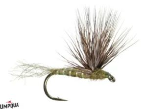 Sparkle Dun Baetis - Gray Olive