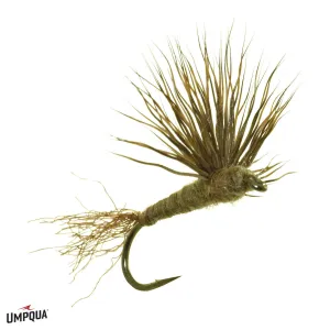 Sparkle Dun Baetis - Olive