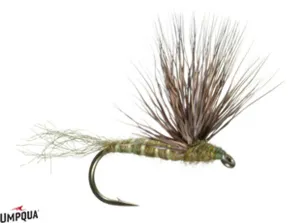 Sparkle Dun - Green Drake