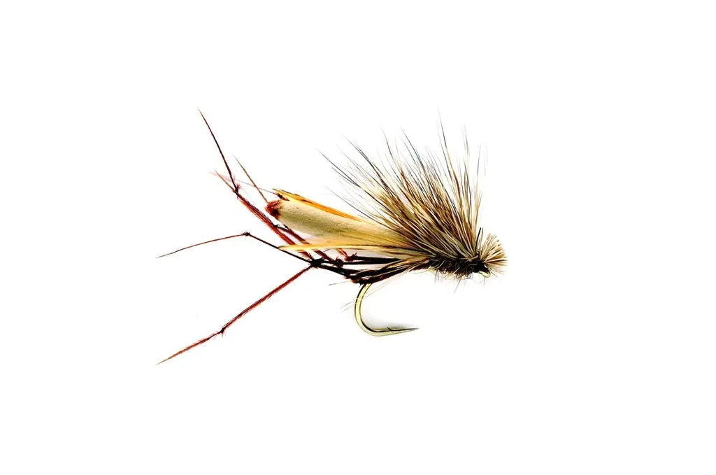 The DaddyHog Crane Fly by Fulling Mill // Crane Fly