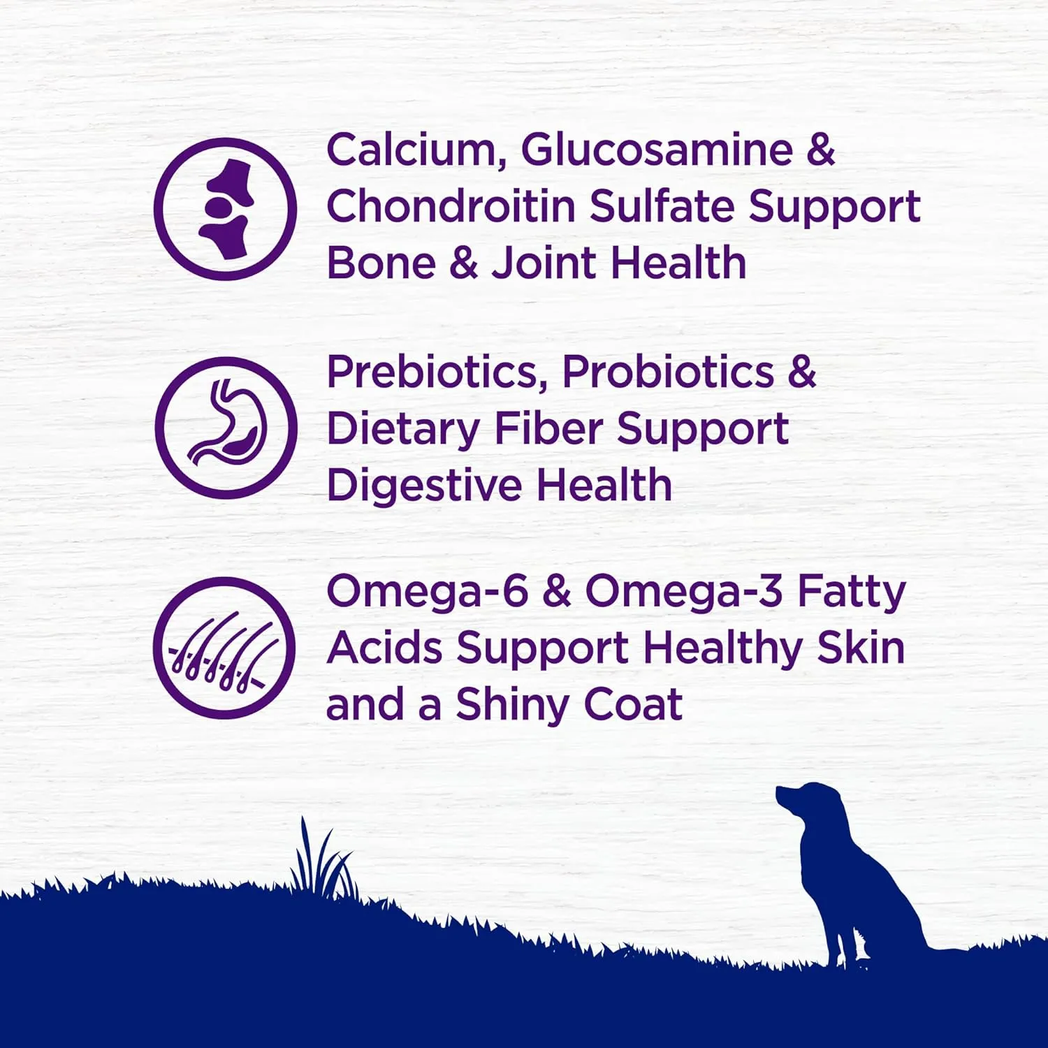 Wellness Complete Health Dry Dog Food, Large Breed, Wholesome Grains, Natural, Chicken & Brown Rice Recipe, (30-Pound Bag)