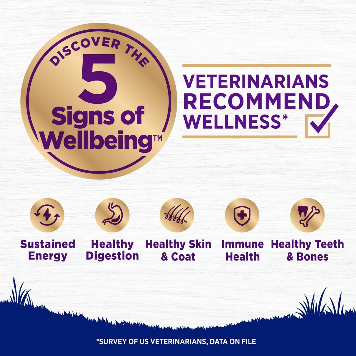 Wellness Complete Health Dry Dog Food, Large Breed, Wholesome Grains, Natural, Chicken & Brown Rice Recipe, (30-Pound Bag)