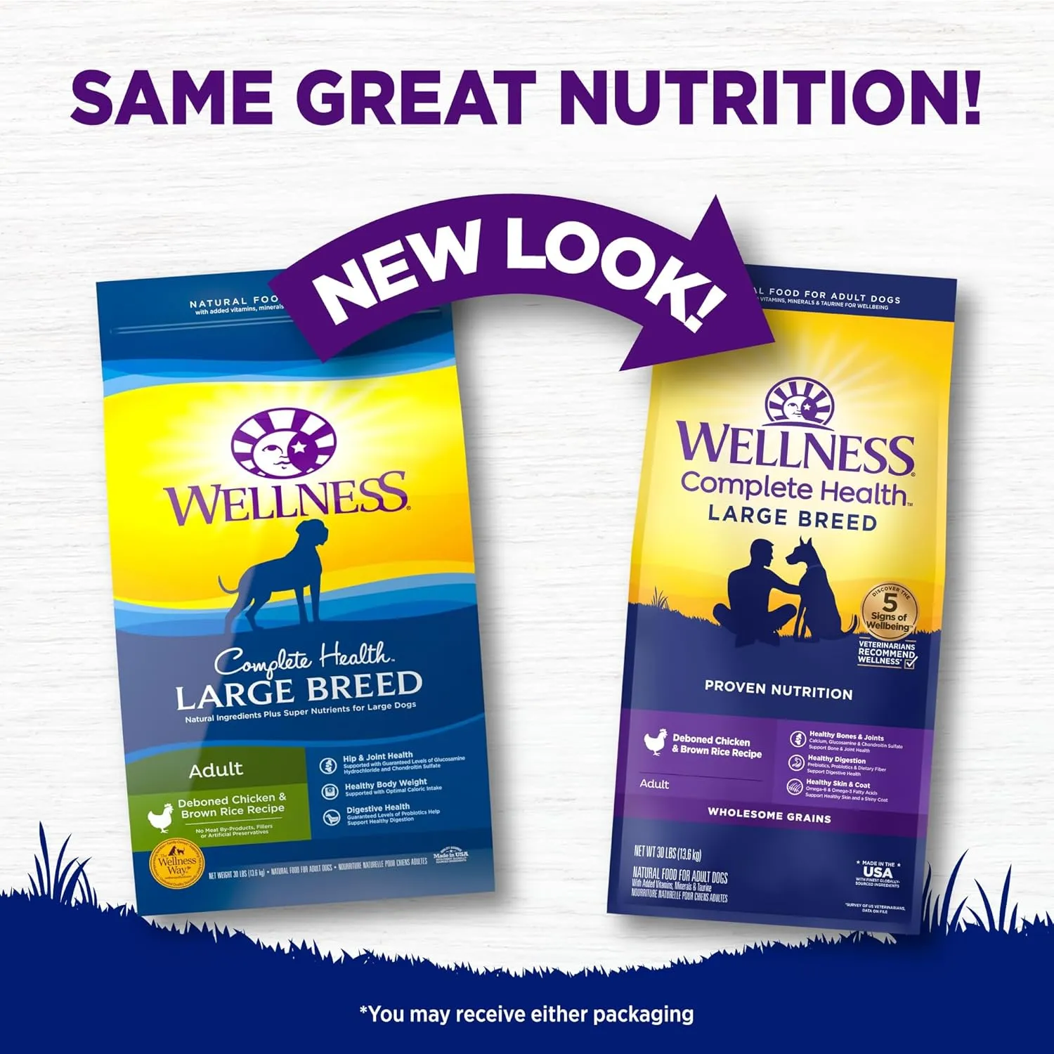 Wellness Complete Health Dry Dog Food, Large Breed, Wholesome Grains, Natural, Chicken & Brown Rice Recipe, (30-Pound Bag)