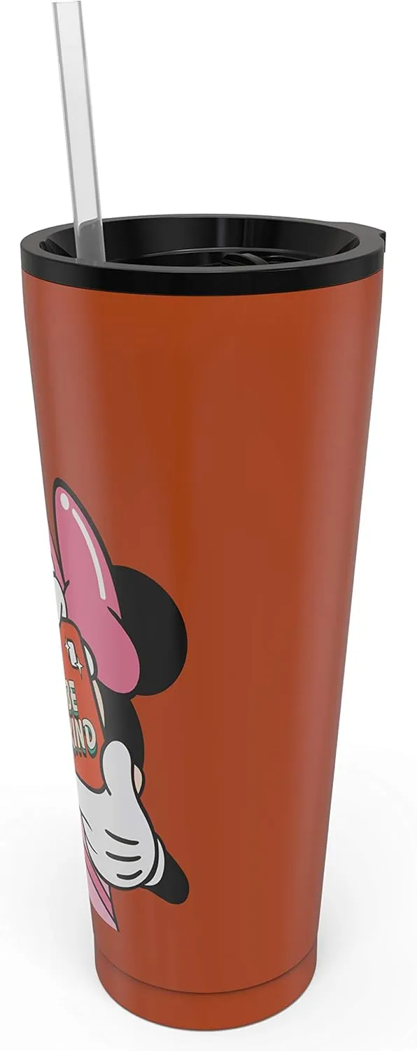 Zak Designs Disney Minnie Mouse Vacuum Insulated Stainless Steel Travel Tumbler with Splash-Proof Lid, Includes Reusable Plastic Straw and Fits in Car Cup Holders (18/8 SS, 25 oz, Sure Thing)